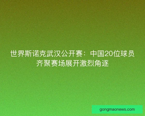 世界斯诺克武汉公开赛：中国20位球员齐聚赛场展开激烈角逐