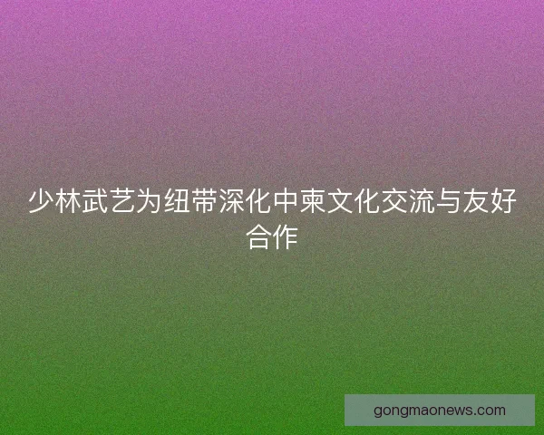 少林武艺为纽带深化中柬文化交流与友好合作